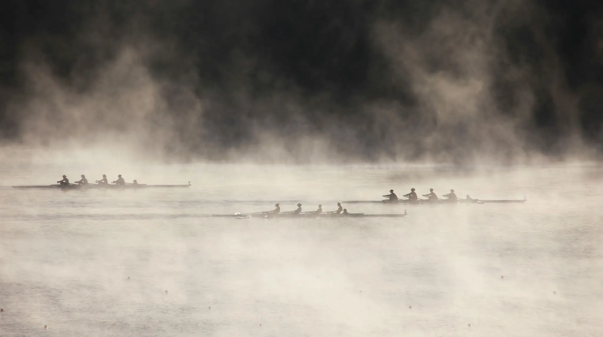 Rowing teams gliding through misty water